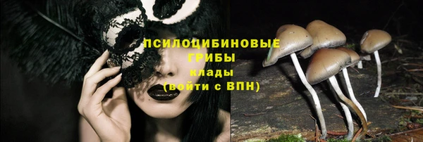 первитин Осинники